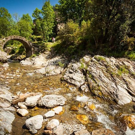 Saint-Privat-de-Vallongue Transgardon B&B En Cevennes מראה חיצוני תמונה