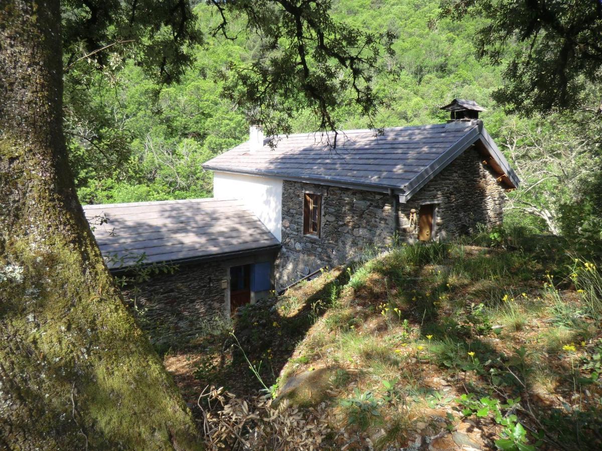 Saint-Privat-de-Vallongue Transgardon B&B En Cevennes מראה חיצוני תמונה
