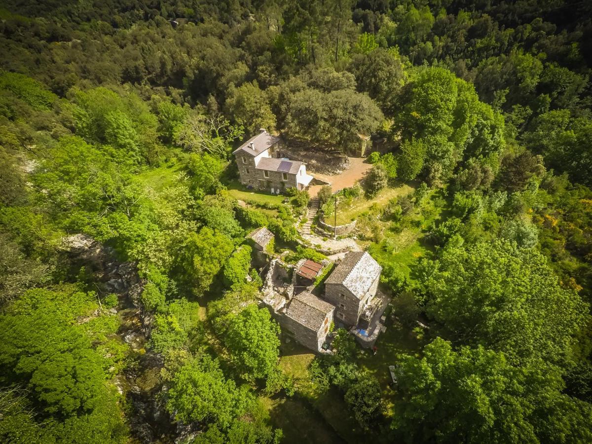 Saint-Privat-de-Vallongue Transgardon B&B En Cevennes מראה חיצוני תמונה