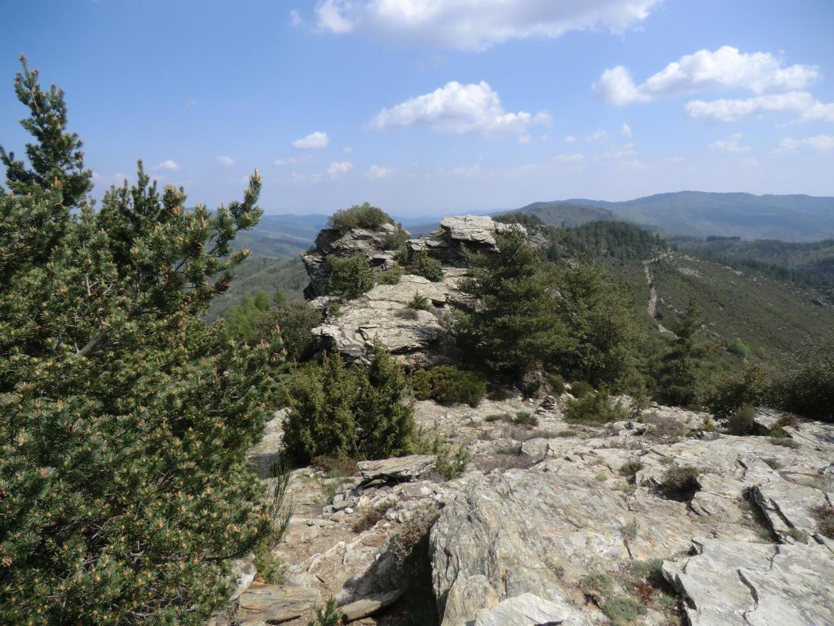 Saint-Privat-de-Vallongue Transgardon B&B En Cevennes מראה חיצוני תמונה