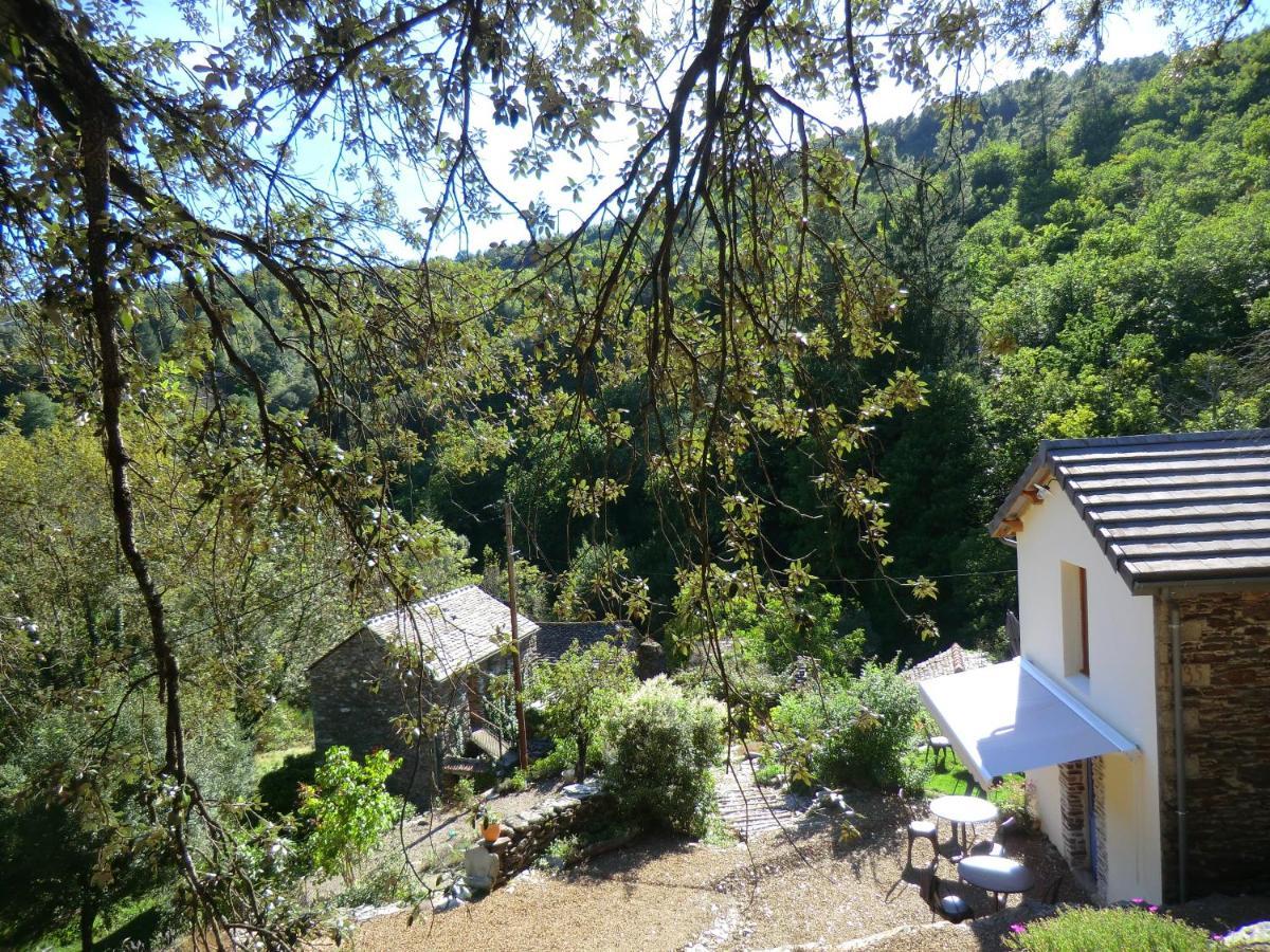 Saint-Privat-de-Vallongue Transgardon B&B En Cevennes מראה חיצוני תמונה