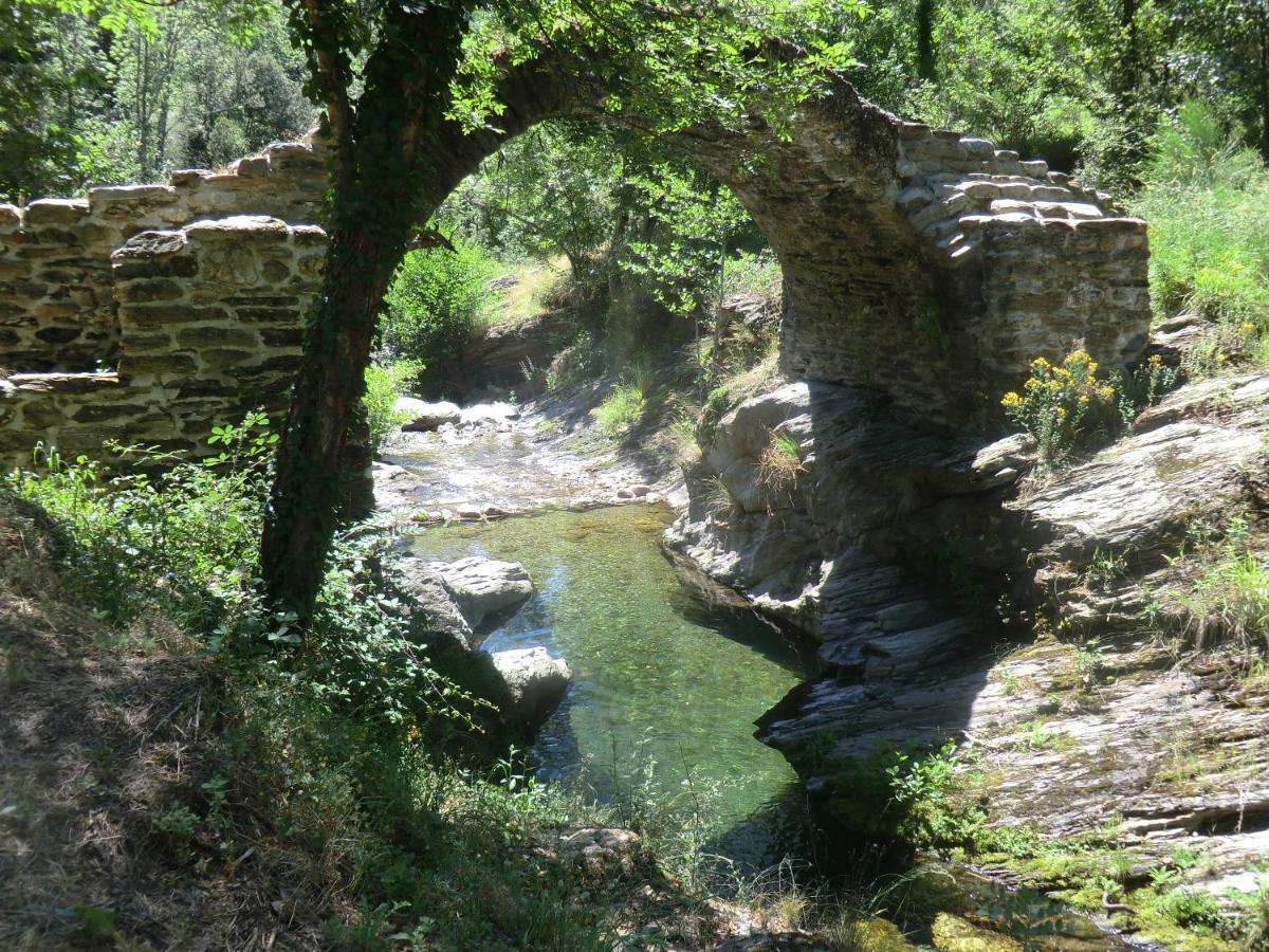 Saint-Privat-de-Vallongue Transgardon B&B En Cevennes מראה חיצוני תמונה