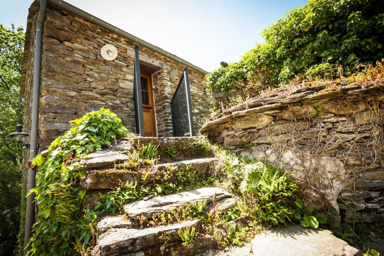 Saint-Privat-de-Vallongue Transgardon B&B En Cevennes מראה חיצוני תמונה