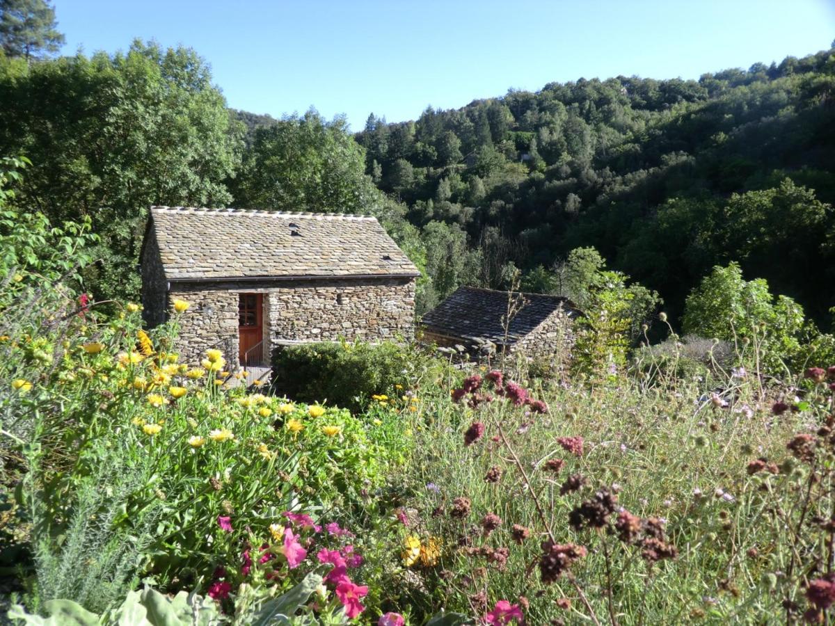 Saint-Privat-de-Vallongue Transgardon B&B En Cevennes מראה חיצוני תמונה